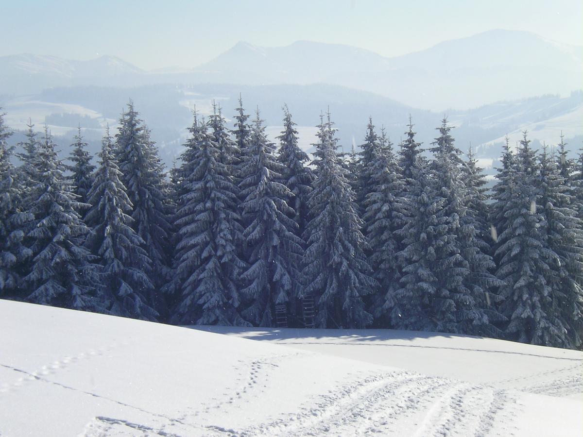 Das Allgaeu Maierhöfen Exterior foto